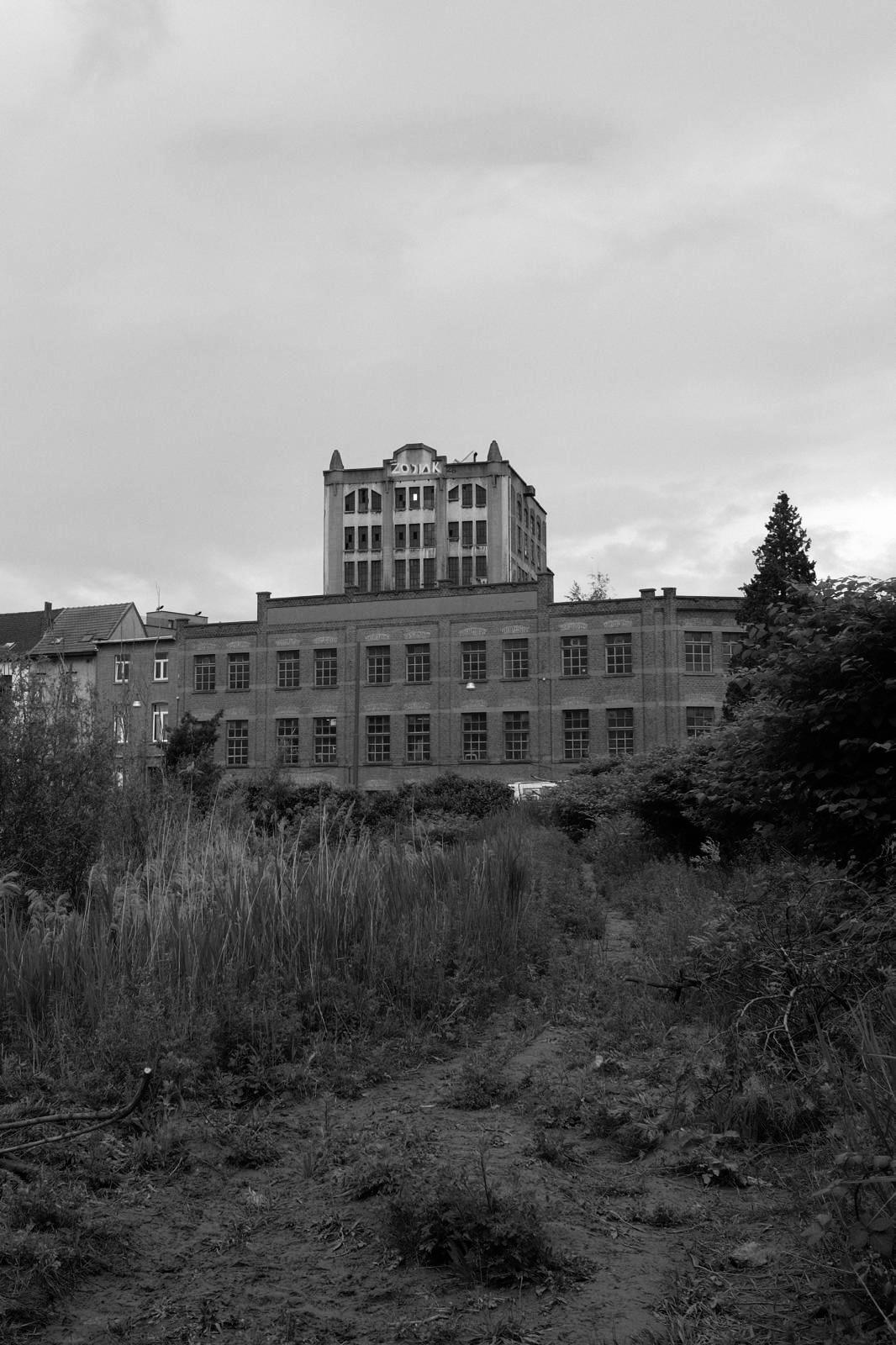 A disused industrial building seen across the overgrown ground