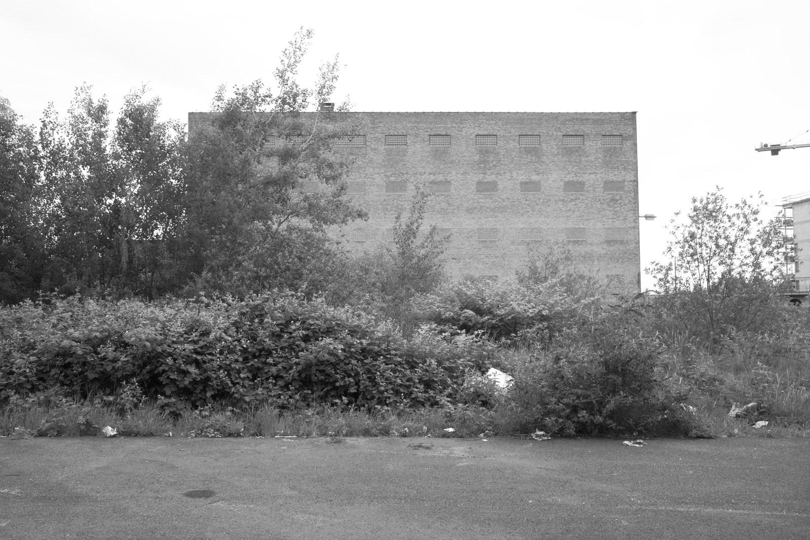 The Marais de Biestebroeck: scrub and grass in front of a disused industrial building