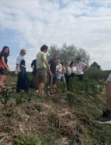 Participants standing among vegetable beds in the Alta Langa
