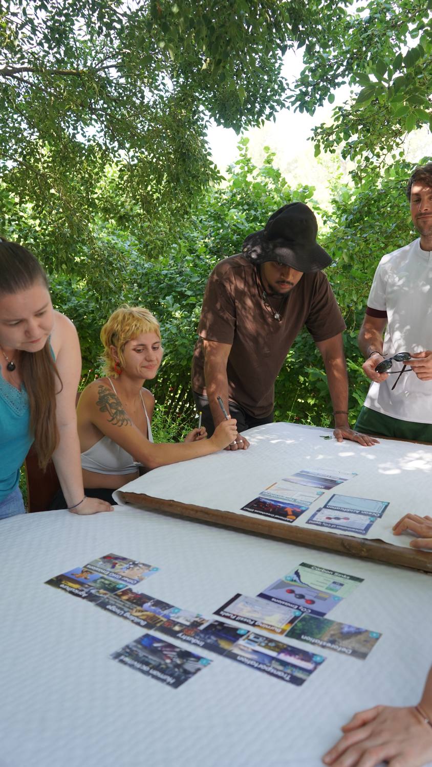 Participants arranging cards and photographs on a wall